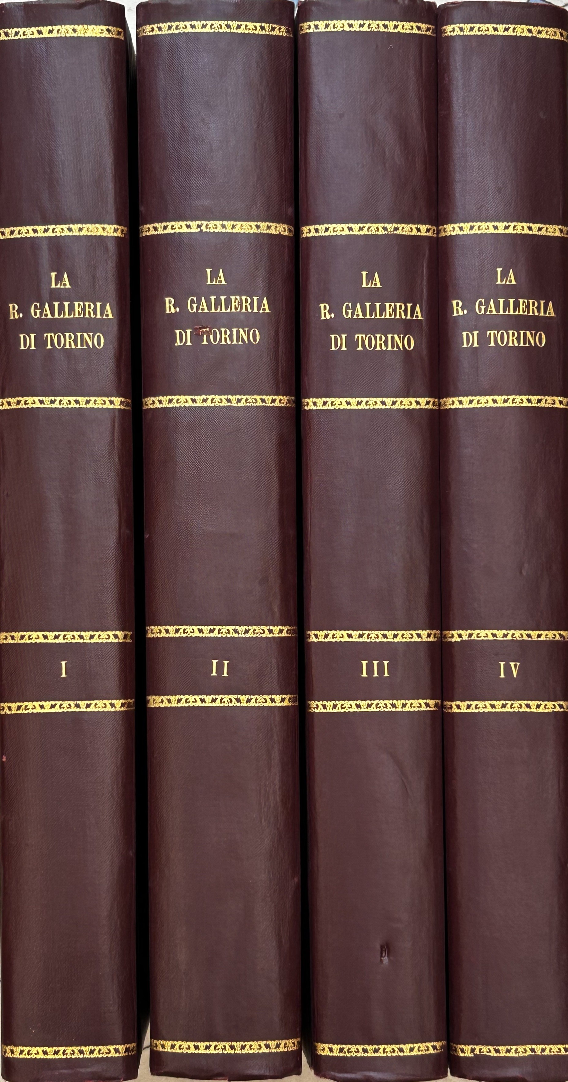 La reale galleria di Torino