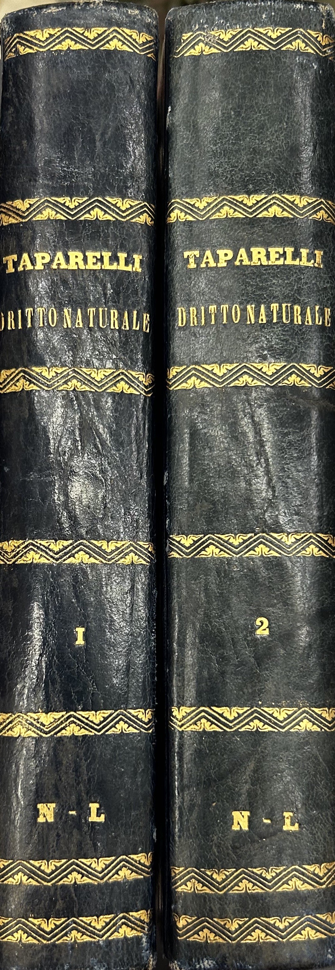 Saggio teoretico di dritto naturale appoggiato sul fatto