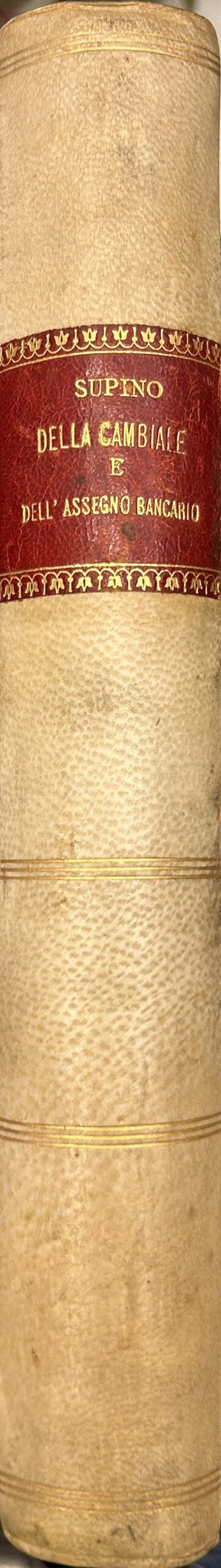 Della cambiale e dell'assegno bancario