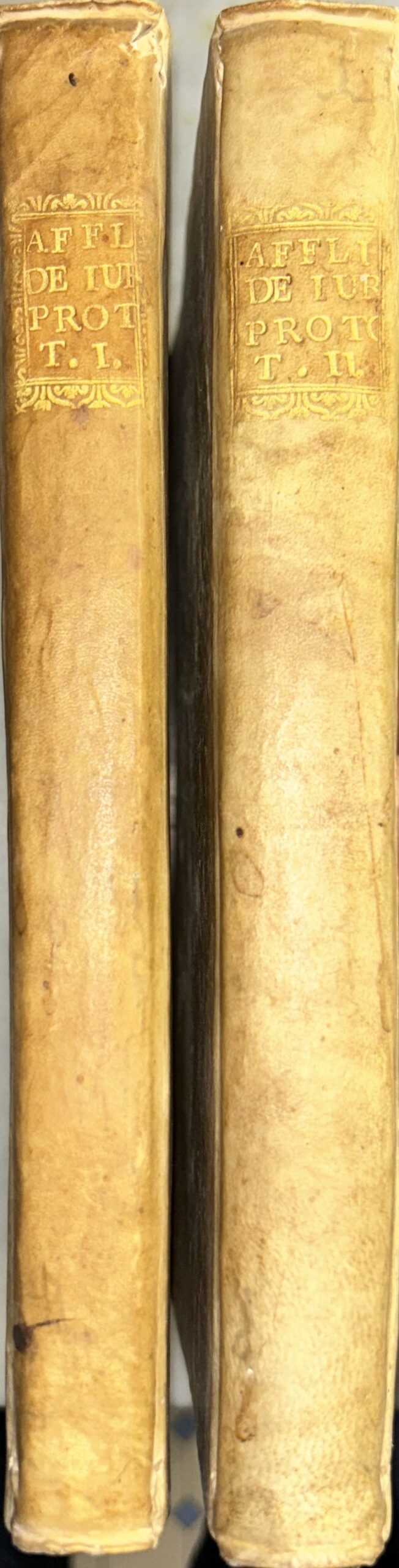 Tractatus de jure protomiseos