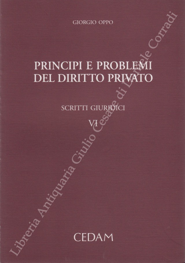 Principi e problemi del diritto privato