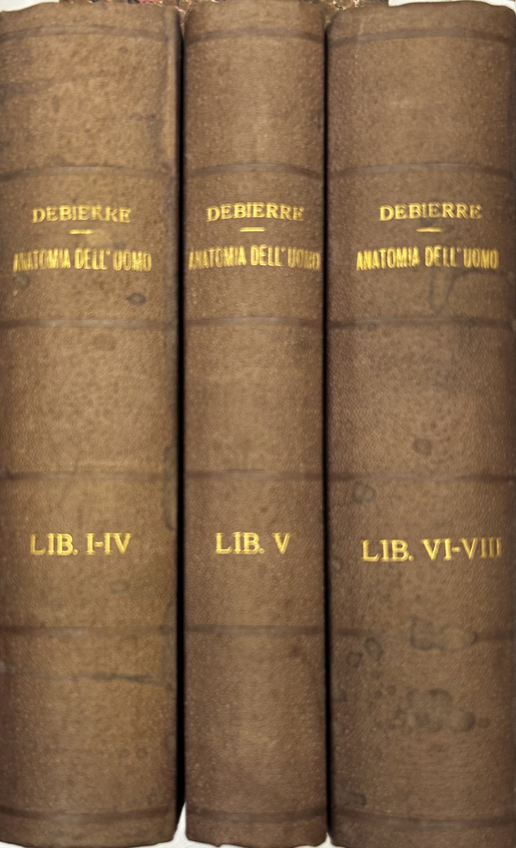 Trattato elementare di anatomia dell'uomo