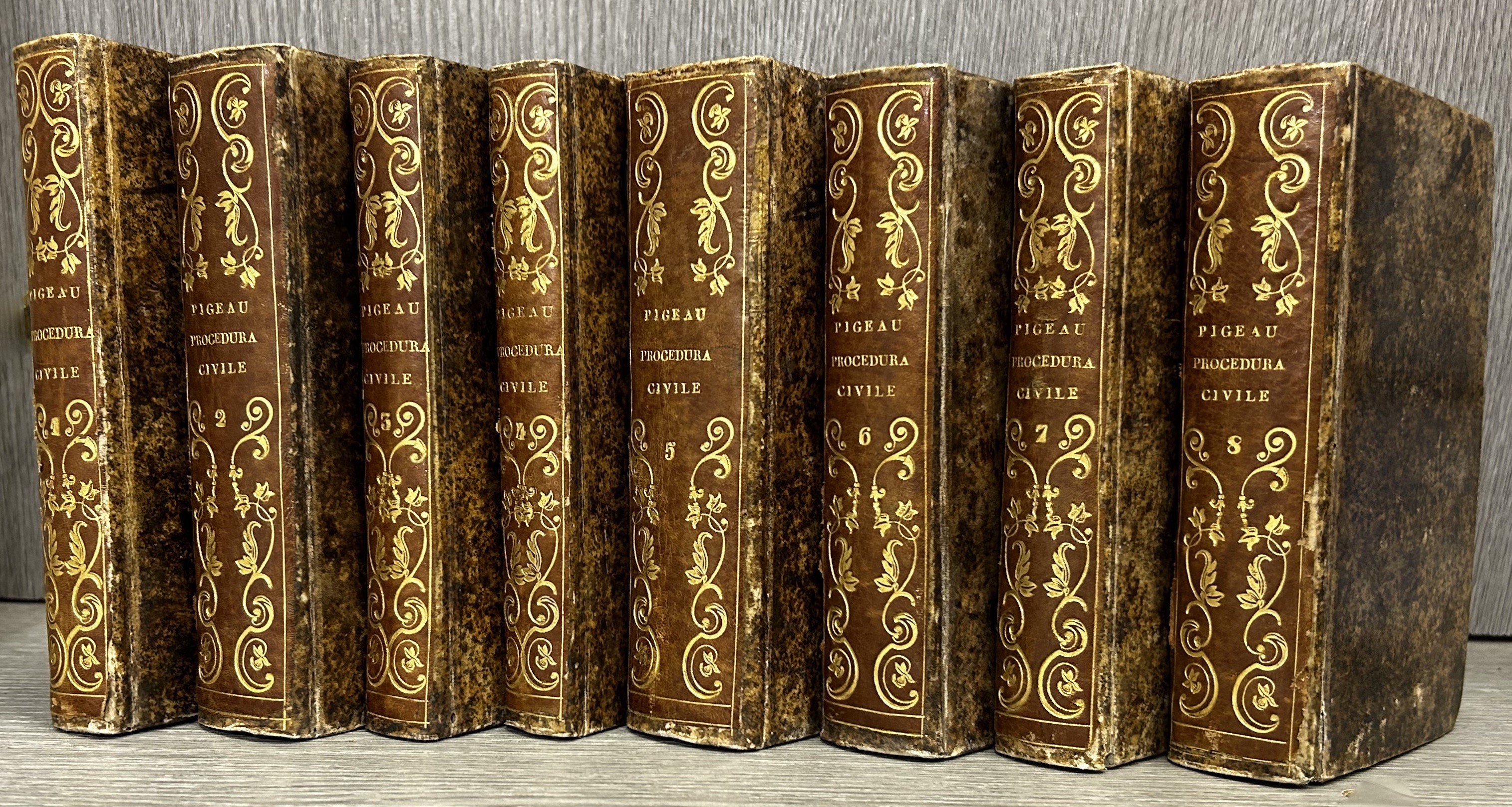 La procedura civile dimostrata per principj