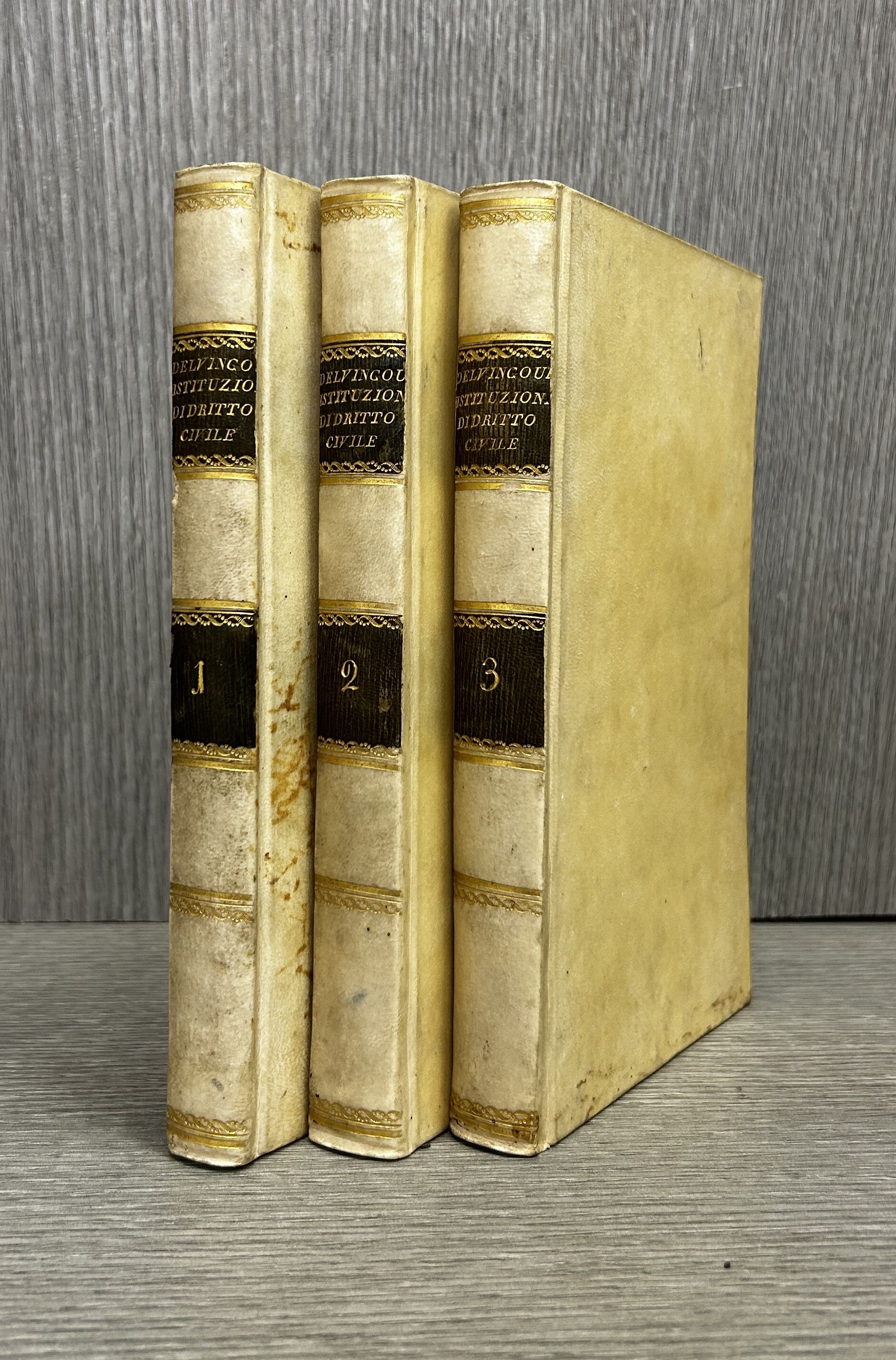 Istituzioni di dritto civile napolitano