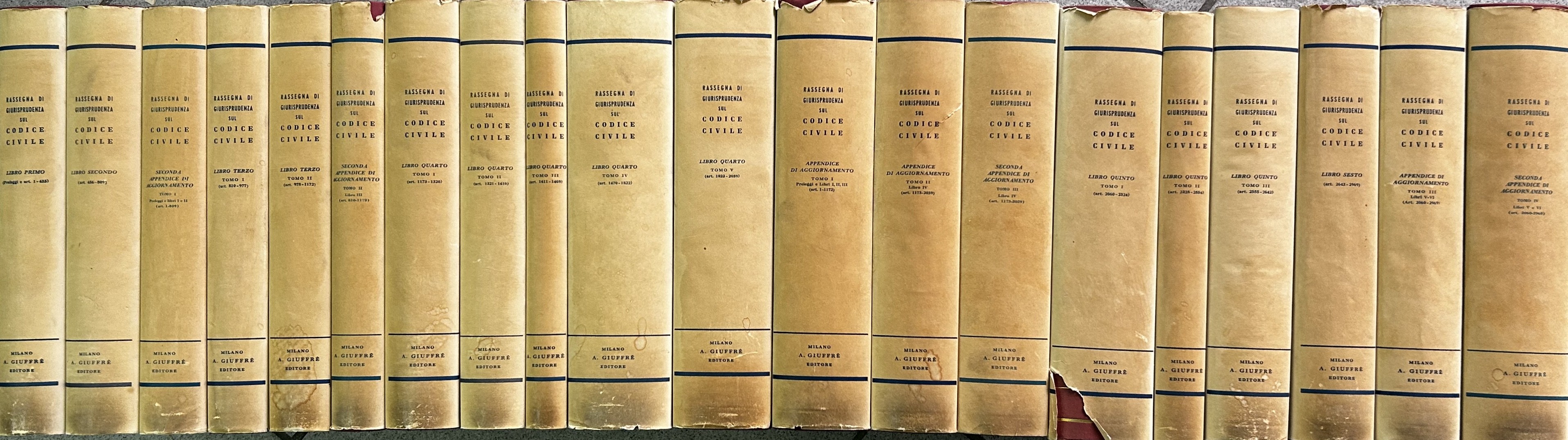 Rassegna di giurisprudenza sul codice civile